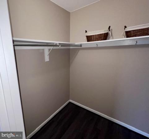 AMERICANA CENTRE - Residential