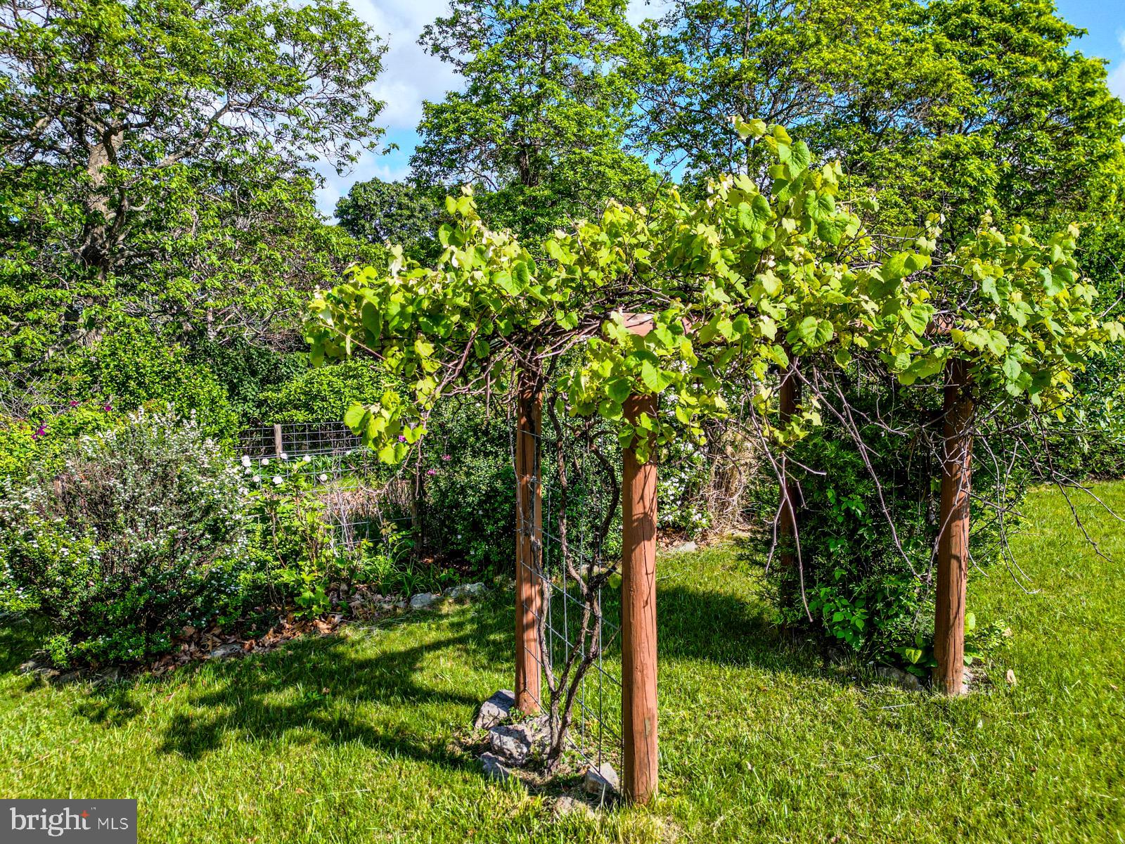 ORCHARD VIEW ESTATES - Residential