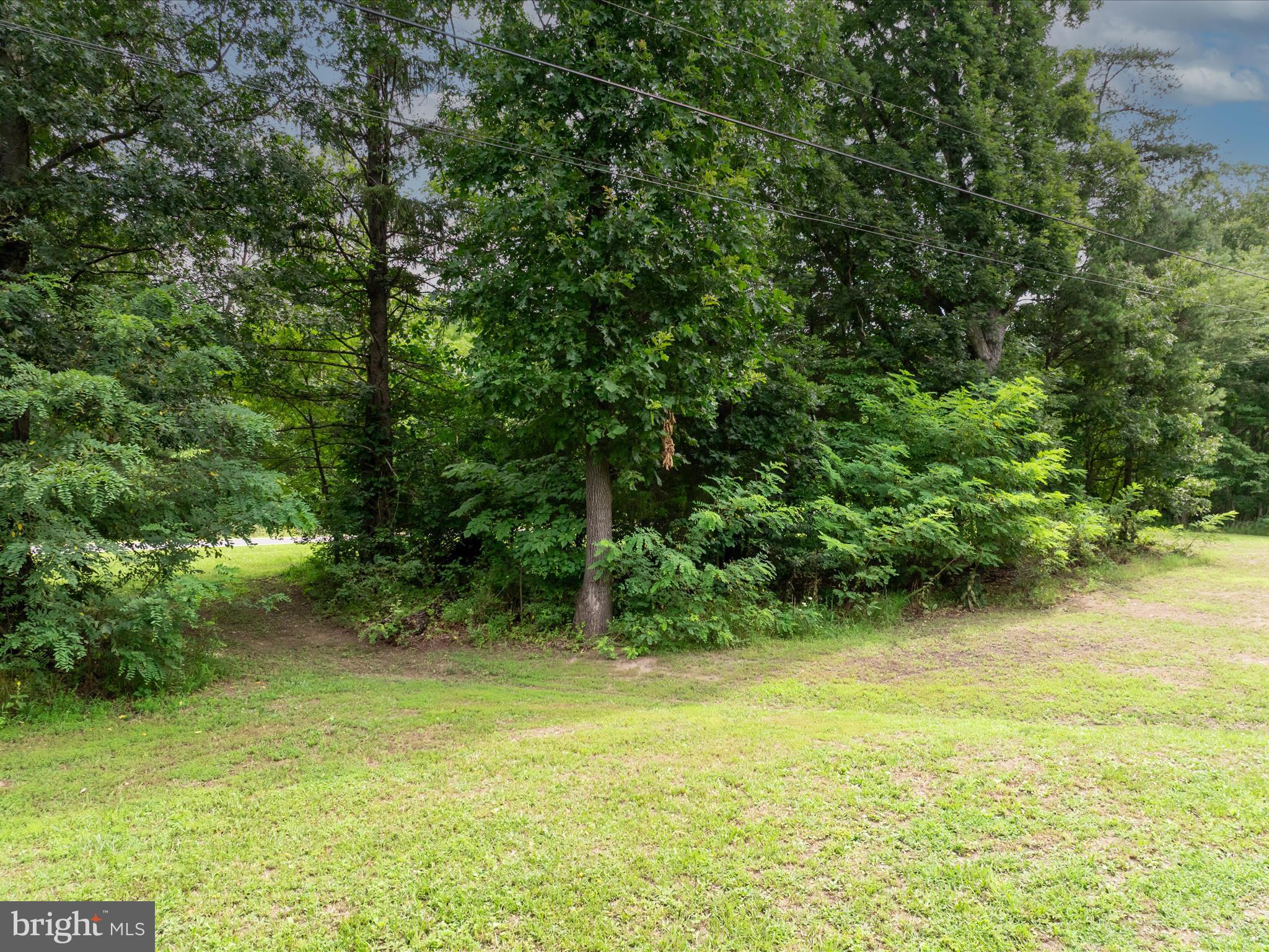 ASHTON FOREST - Land