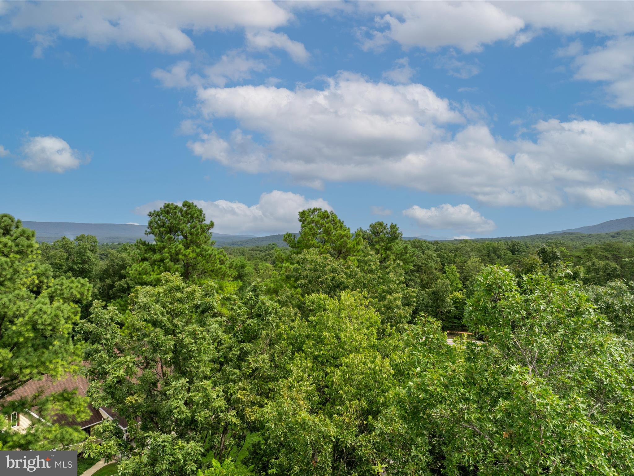 ASHTON FOREST - Land