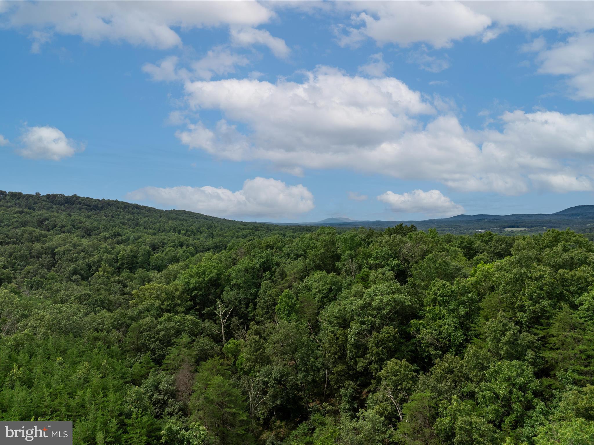 ASHTON FOREST - Land