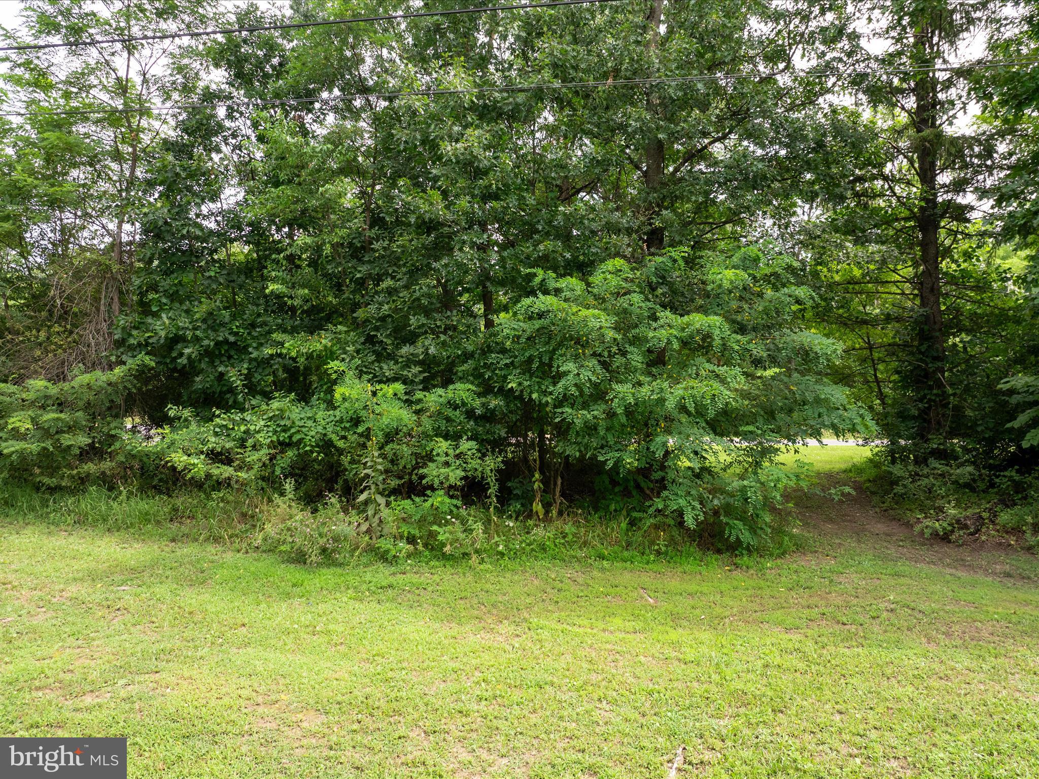 ASHTON FOREST - Land