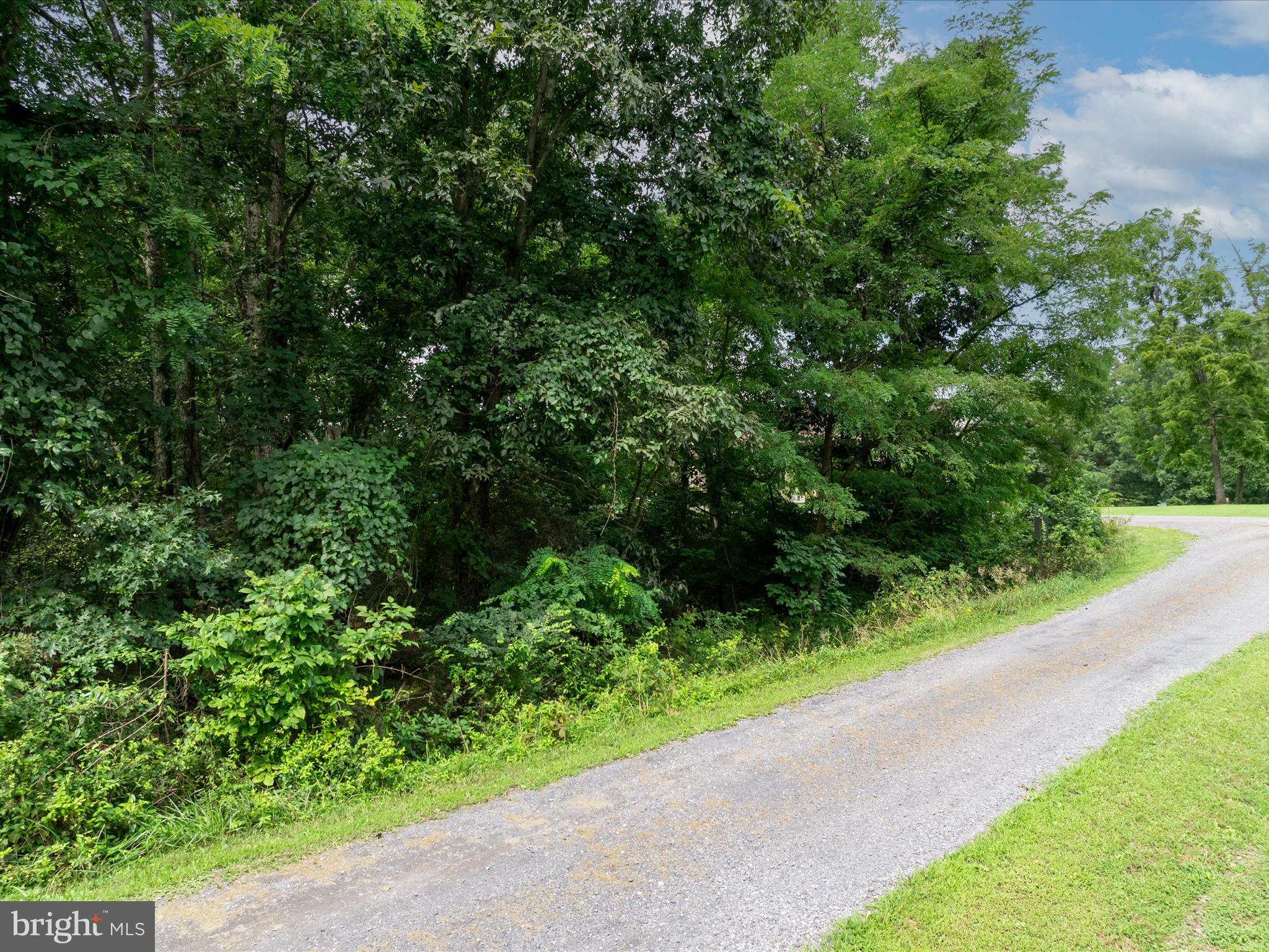 ASHTON FOREST - Land