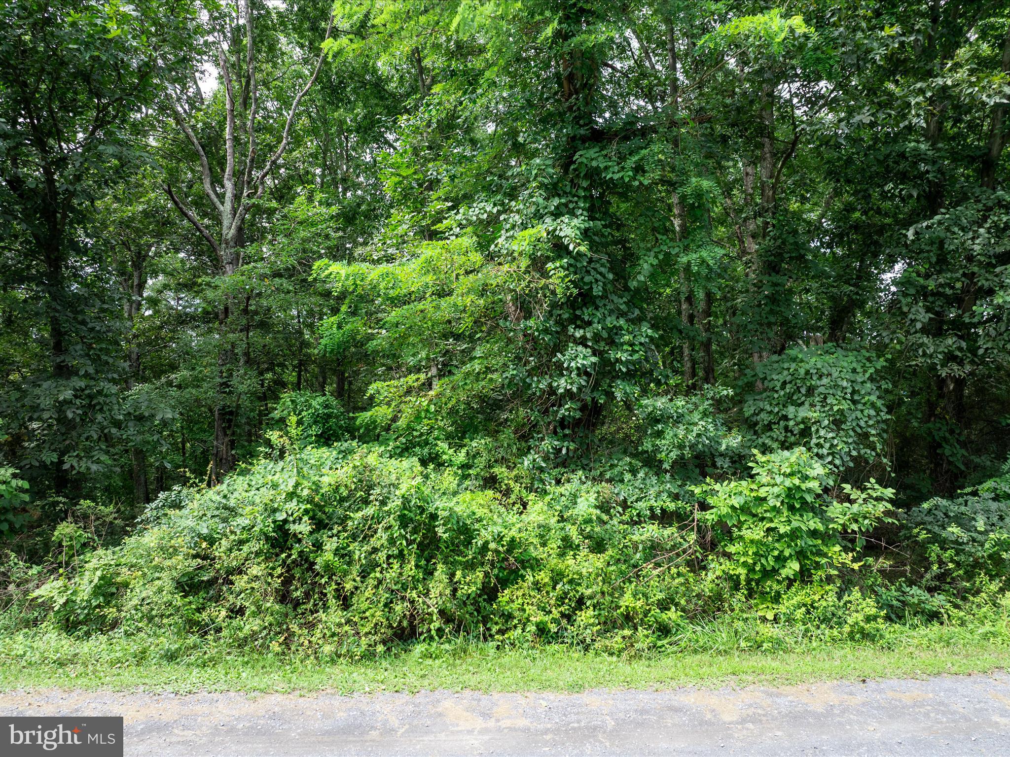 ASHTON FOREST - Land