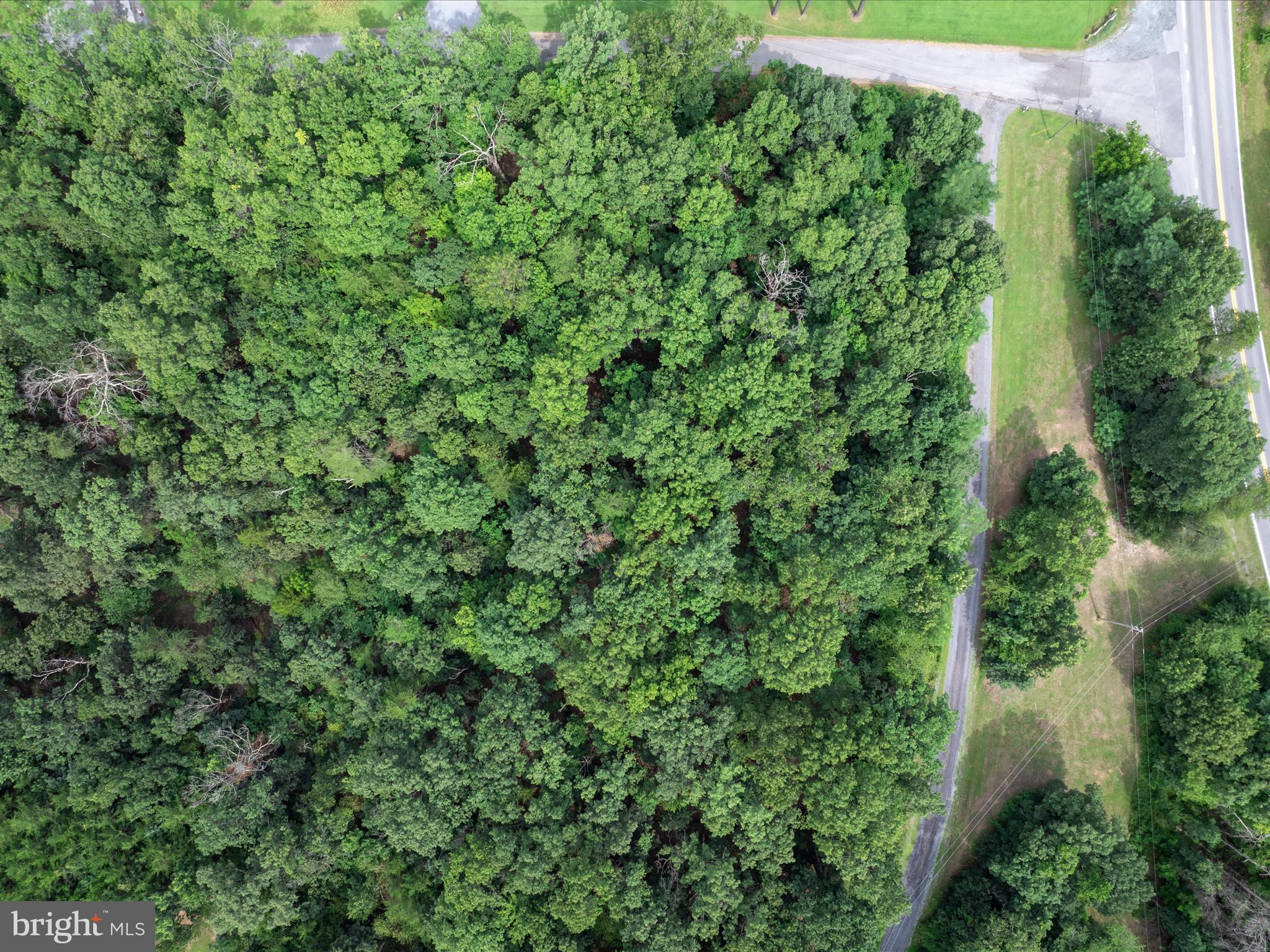 ASHTON FOREST - Land