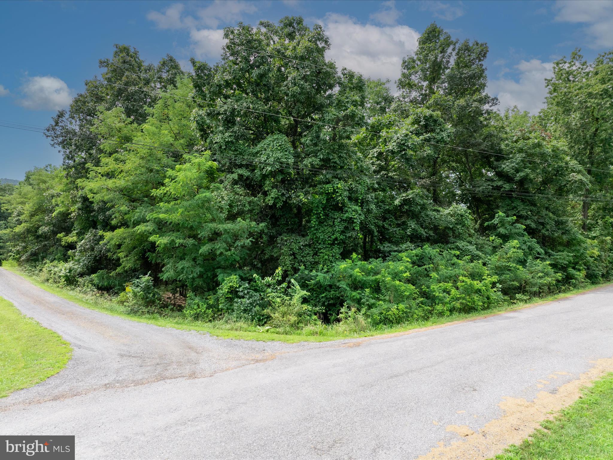 ASHTON FOREST - Land