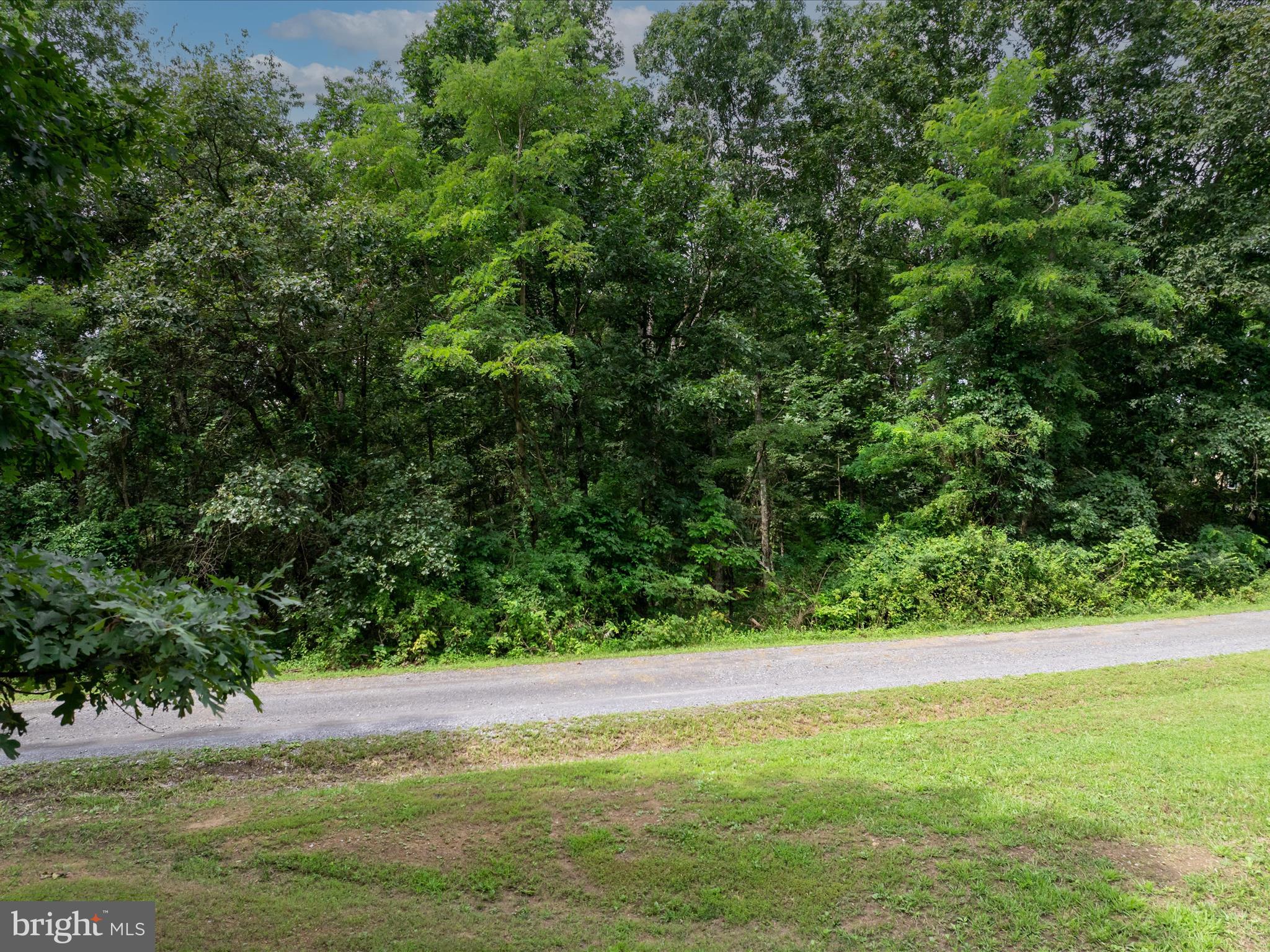 ASHTON FOREST - Land