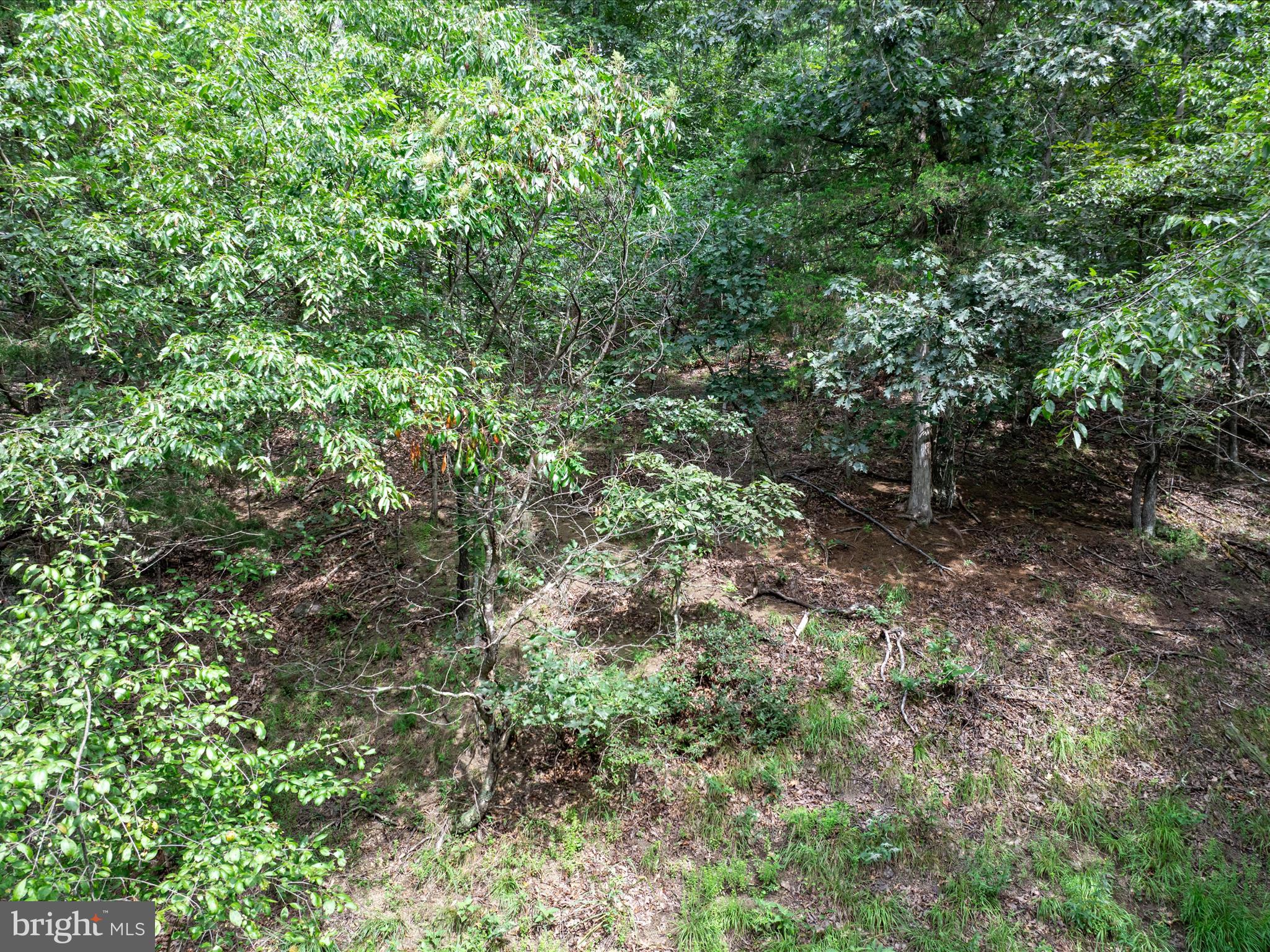 ASHTON FOREST - Land