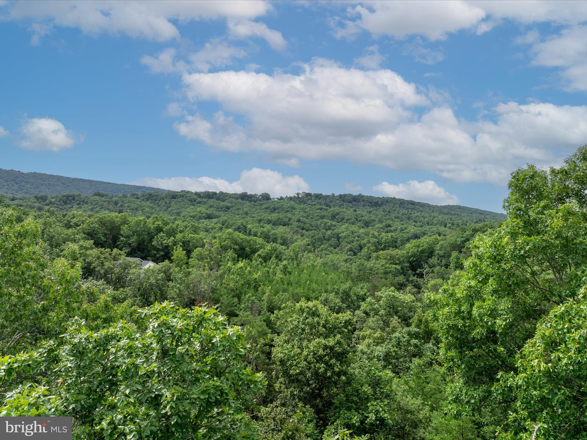 ASHTON FOREST - Land