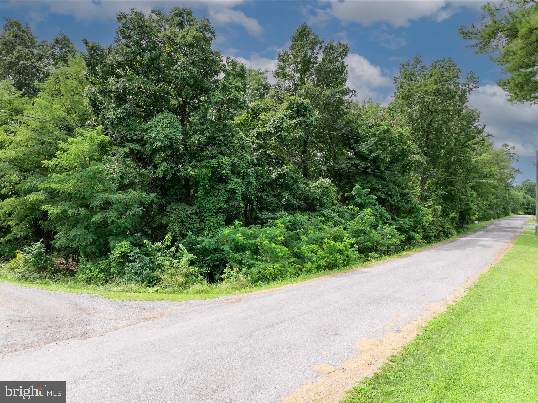 ASHTON FOREST - Land