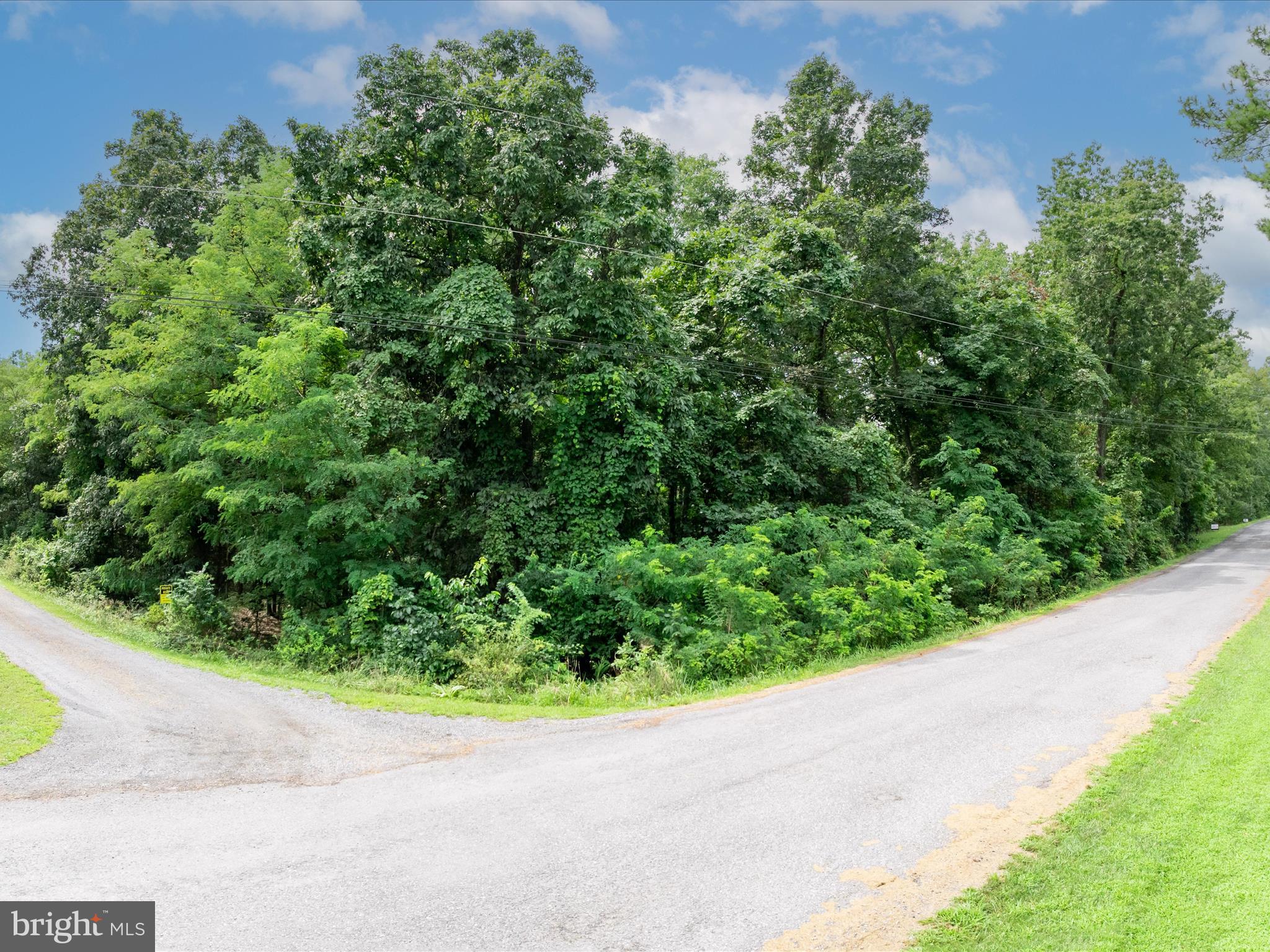 ASHTON FOREST - Land