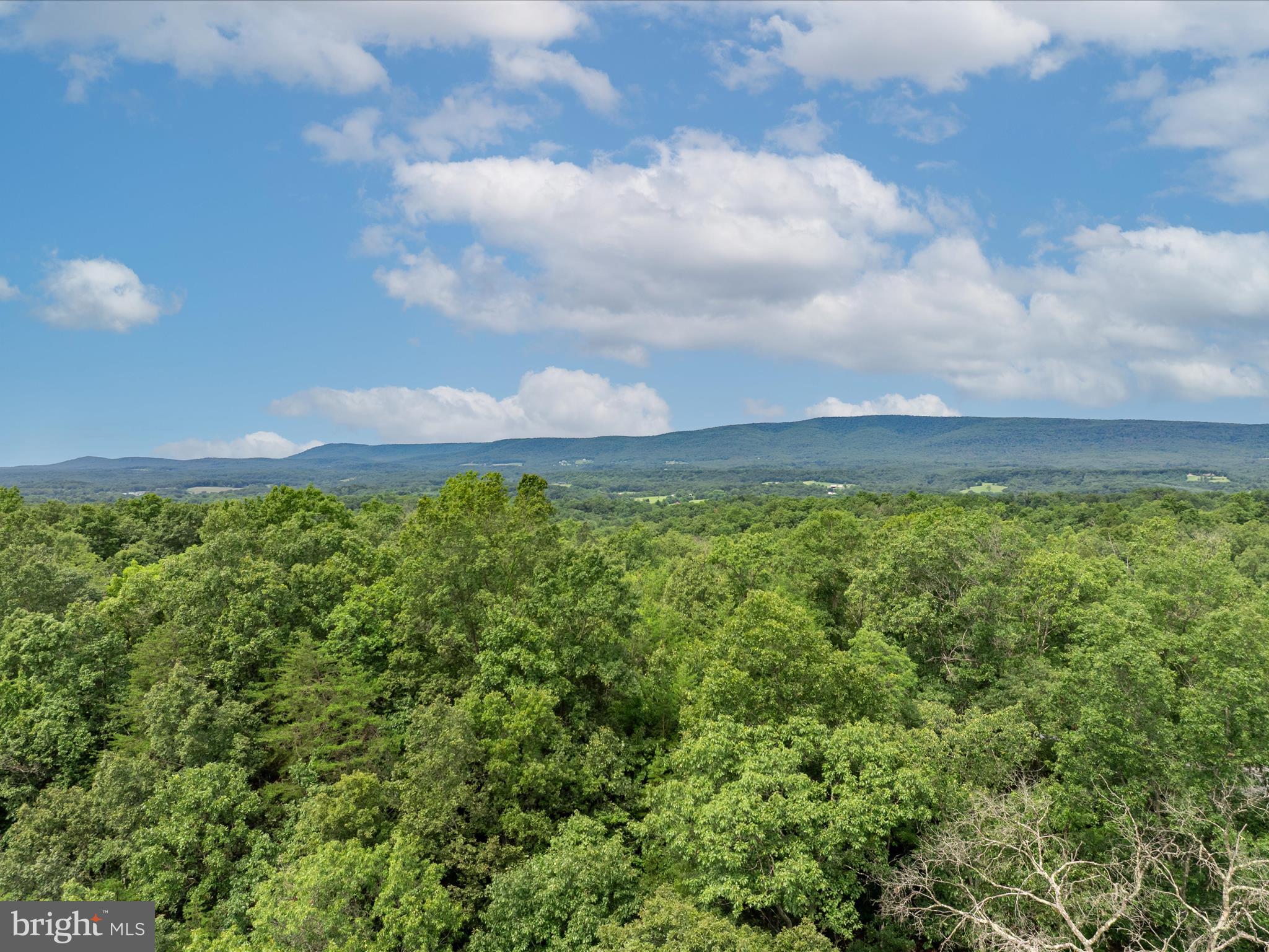 ASHTON FOREST - Land