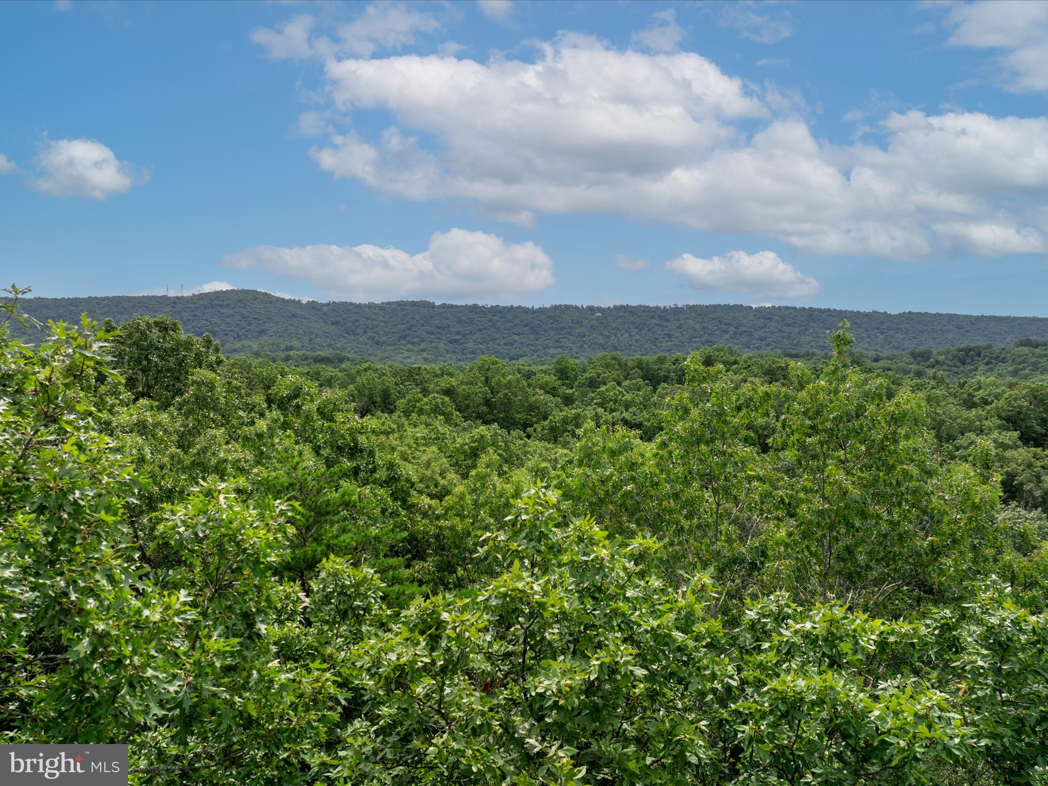 ASHTON FOREST - Land