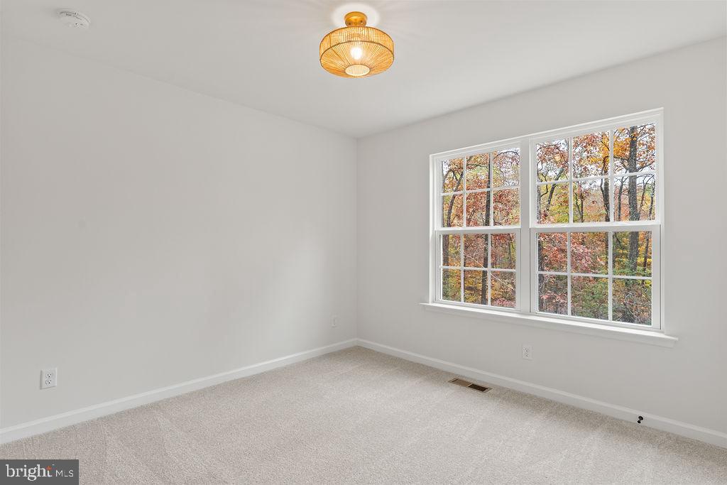 OAKWOOD LAKE ESTATES - Residential