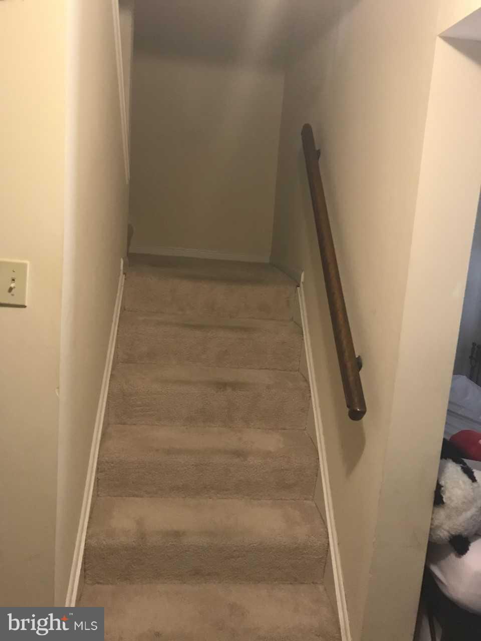 CAMBRIDGE SQUARE - Residential