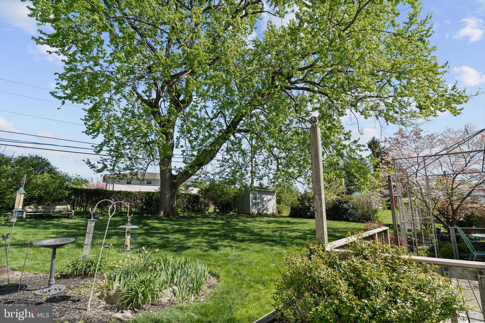 NONE  AVAILABLE - Residential