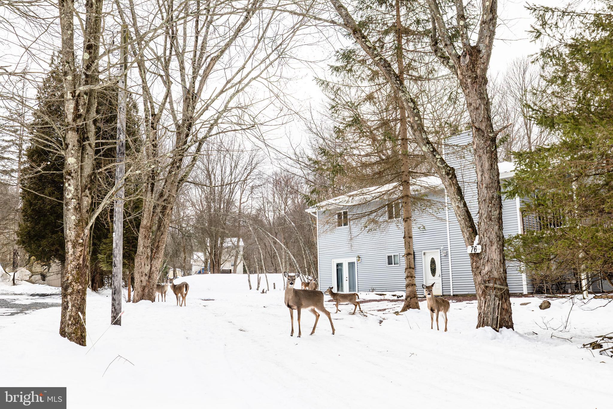 TOWAMENSING TRAILS - Residential