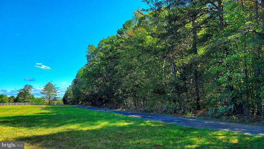 This stunning 3.11-acre Builder’s Choice lot in sought-after Locust Grove offers the perfect blend of privacy, natural beauty, and convenience. Situated in a peaceful rural setting yet close to major routes, this pristine, never-before-developed property provides the ideal canvas for your dream home!

HIGH SPEED INTERNET and electricity are available at the road, making the lot ready for immediate development. The gently sloping terrain is ideal for a walkout basement and there is a seasonal creek enhancing the natural charm and appeal.

This property has never been timbered allowing the mature native trees and vegetation to remain untouched or harvested. With NO HOA, you’ll enjoy the freedom to build the way you want without restrictive covenants or additional fees.

Whether you’re looking to build your forever home, a private retreat, or an investment property, this lot checks every single box. The location provides easy access to nearby Locust Grove, Culpeper and Fredericksburg, as well as schools, shopping, and commuter routes including 29 and I-95, all while maintaining the quiet, country setting that makes Locust Grove so desirable.

Bring your builder or ask about local recommendations. This property offers a rare opportunity to own beautiful, buildable acreage in sought after Locust Grove — the perfect setting for your next chapter!