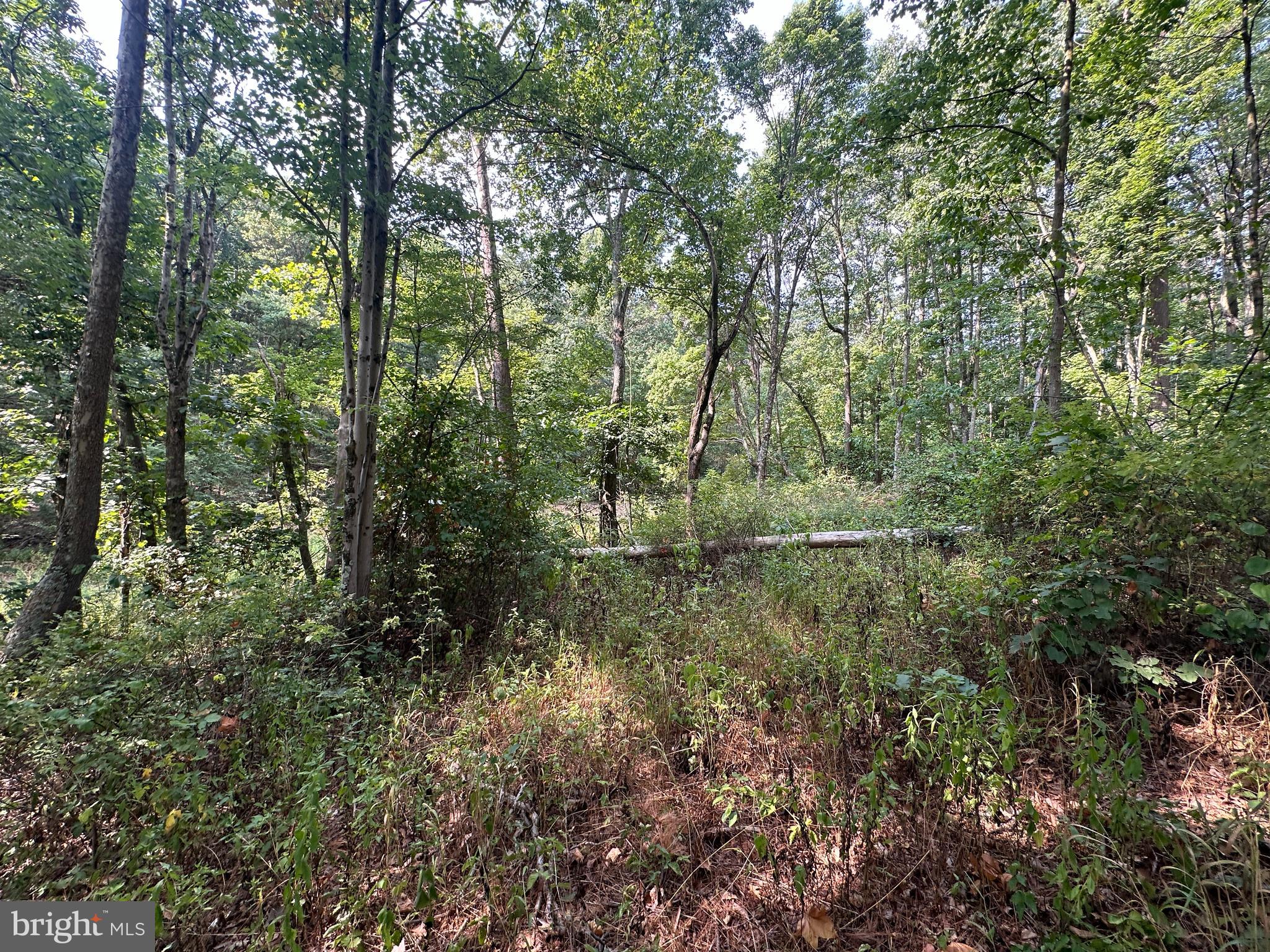 NONE AVAILABLE - Land