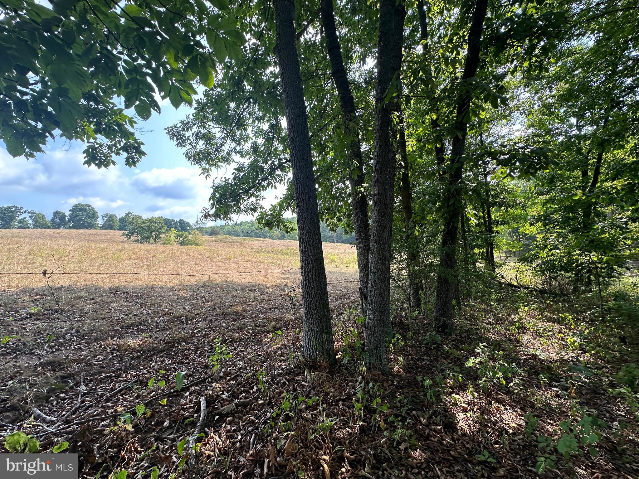 NONE AVAILABLE - Land