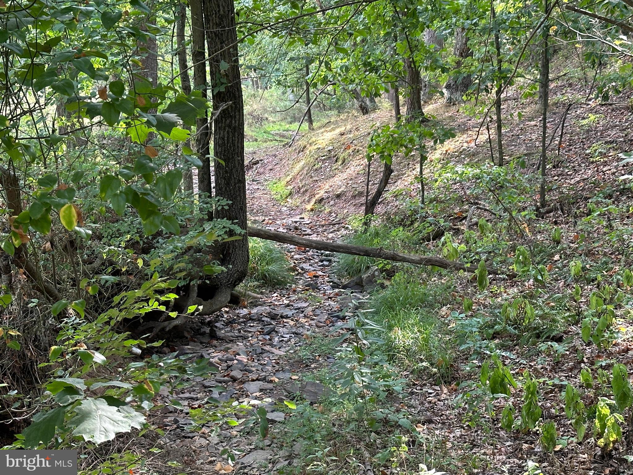 NONE AVAILABLE - Land