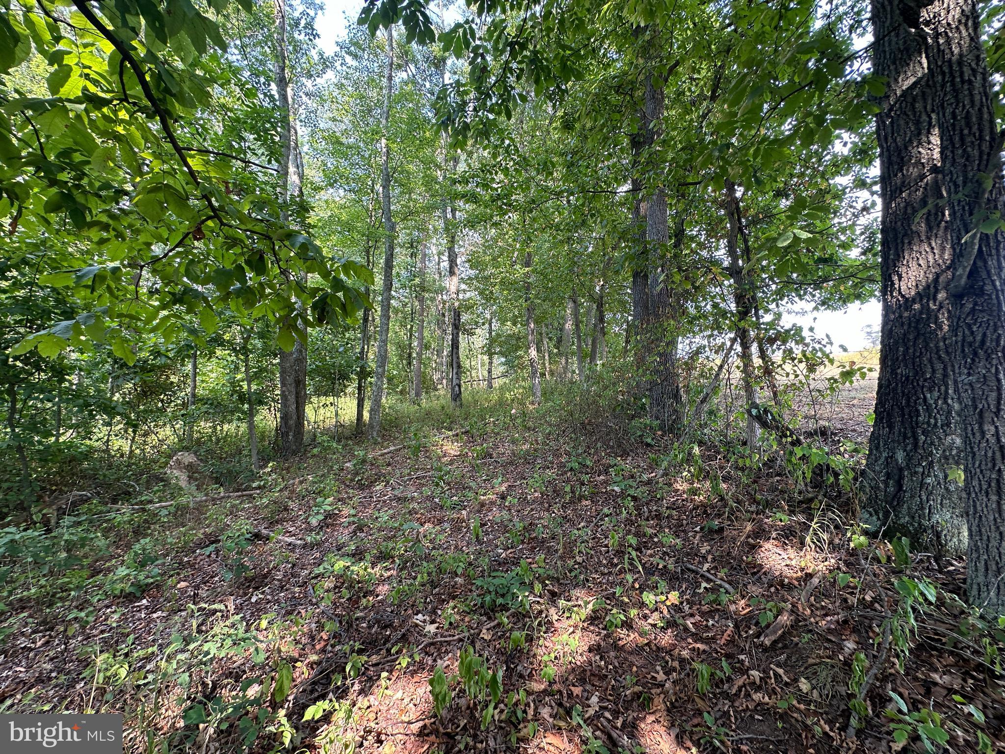 NONE AVAILABLE - Land