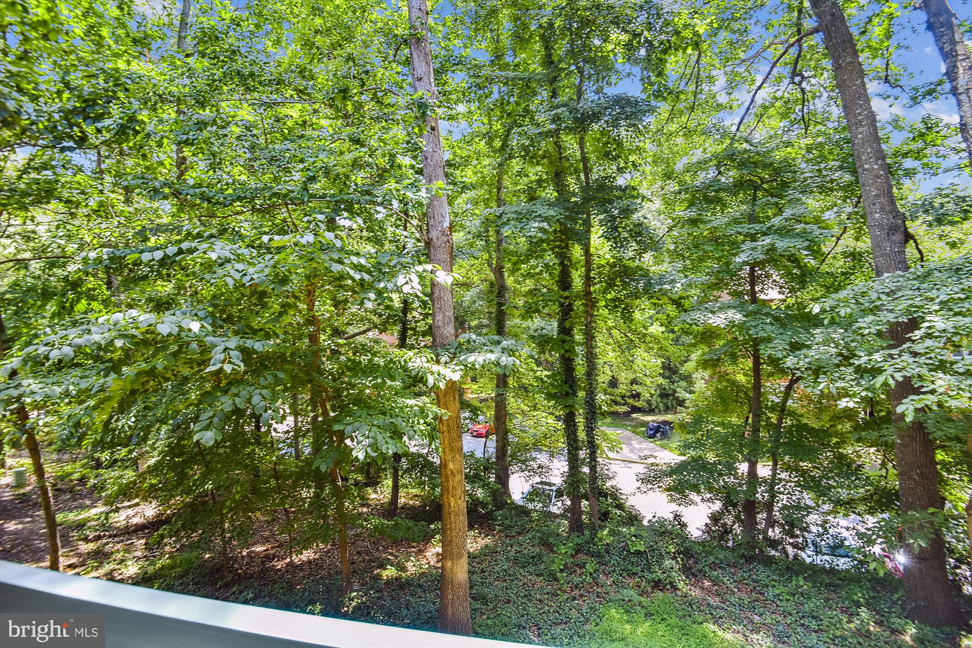 HUNTERS WOODS VILLAGE - Residential