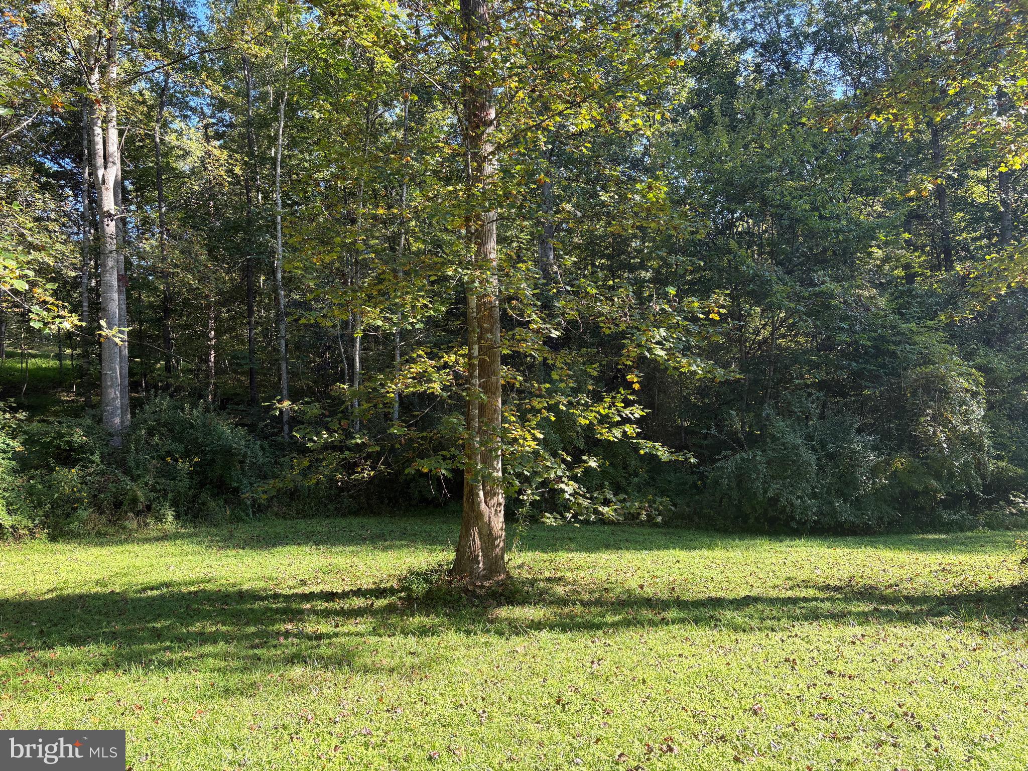 MALVERN OF MADISON - Land