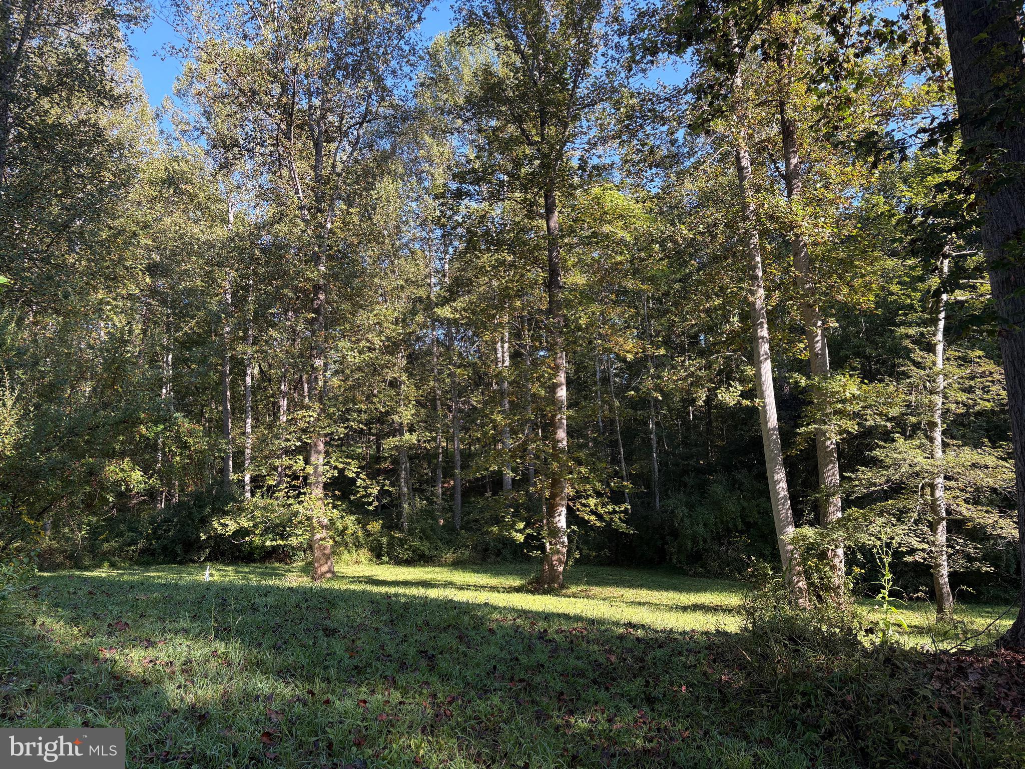 MALVERN OF MADISON - Land