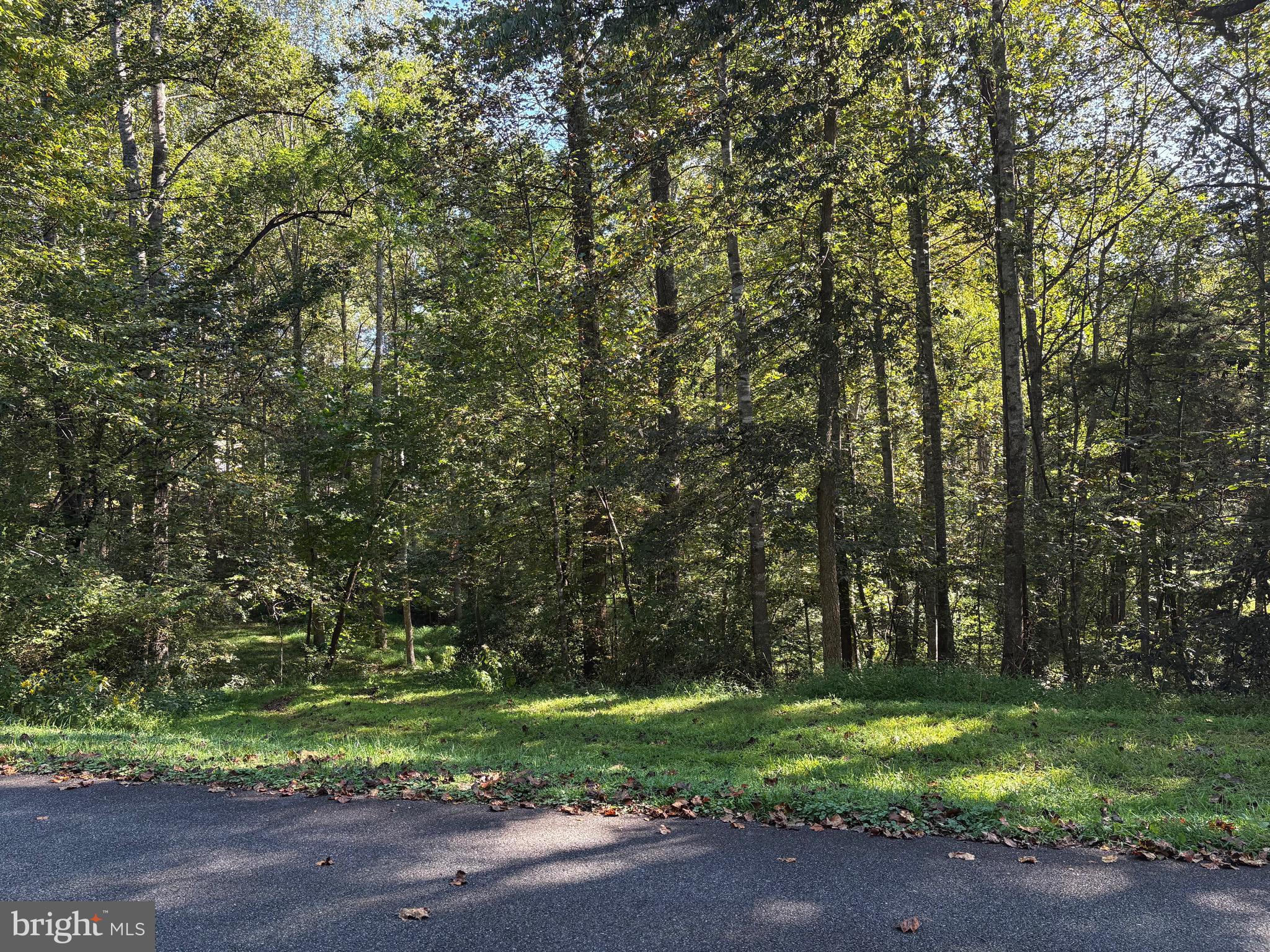 MALVERN OF MADISON - Land