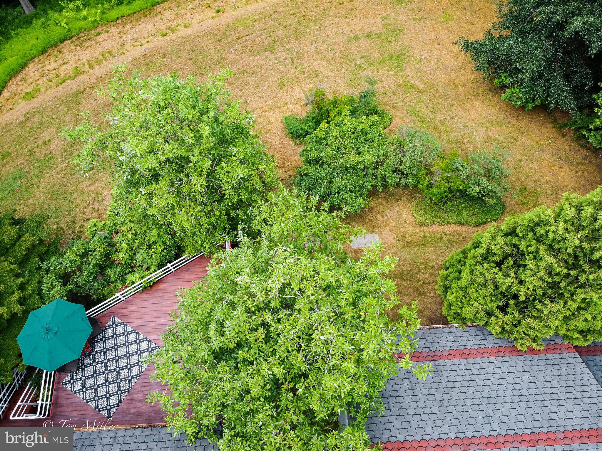 WINDEMERE - Residential