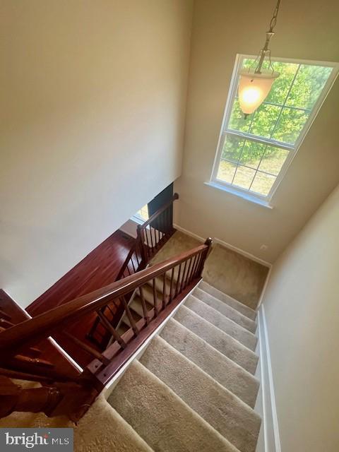 THE WOODS AT MYRTLE POINT - Residential Lease