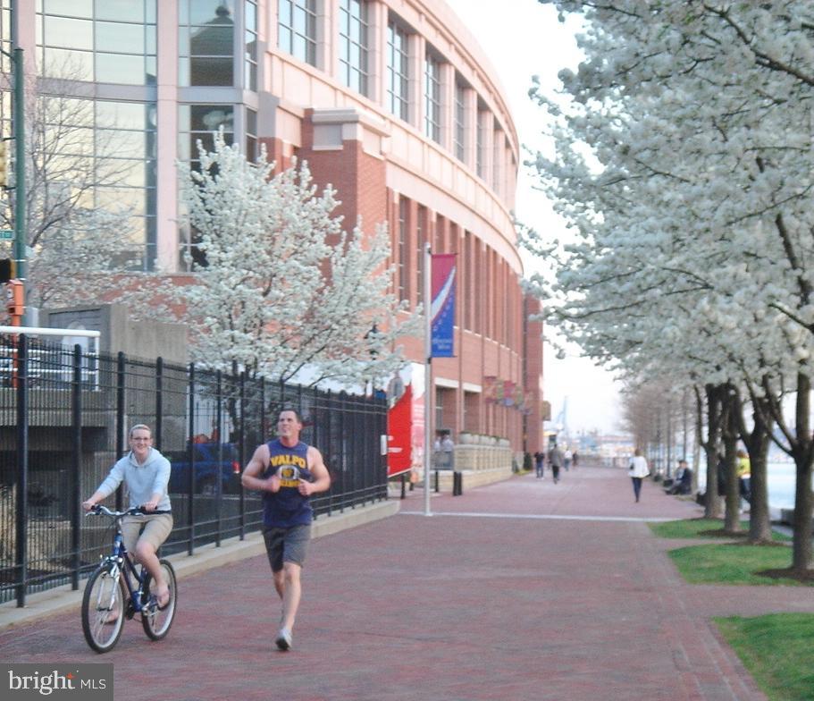 HARBOR EAST - Residential Lease