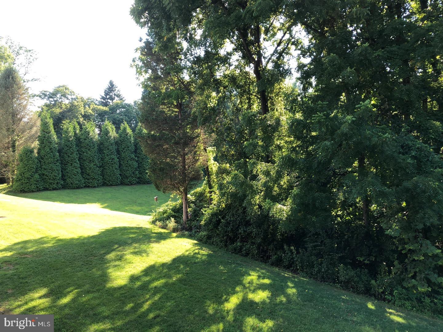 LAUREL SPRINGS - Residential