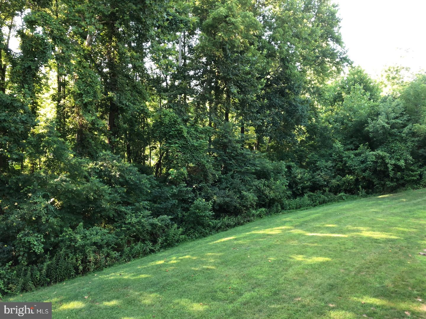 LAUREL SPRINGS - Residential