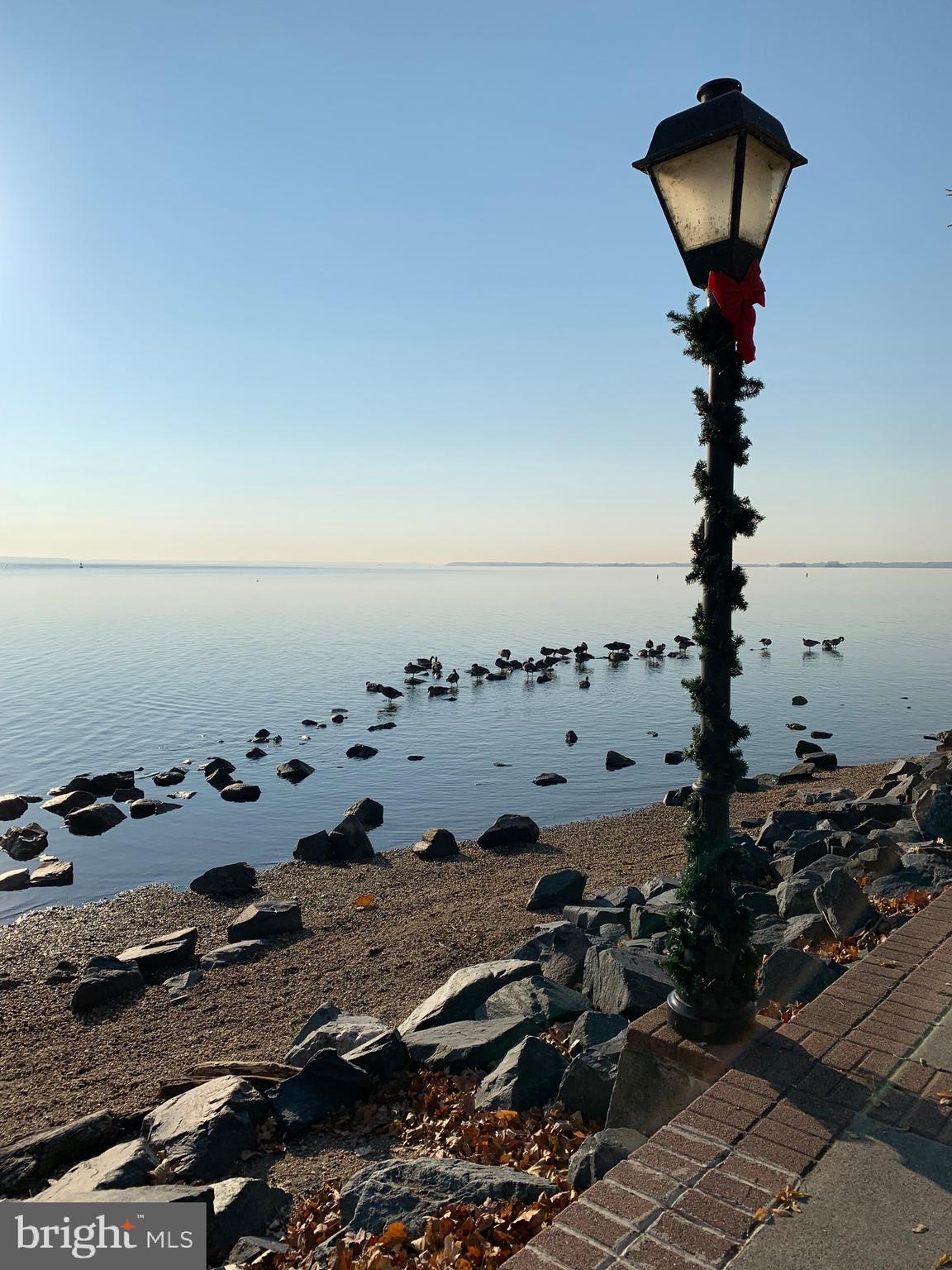 HERON HARBOR - Residential