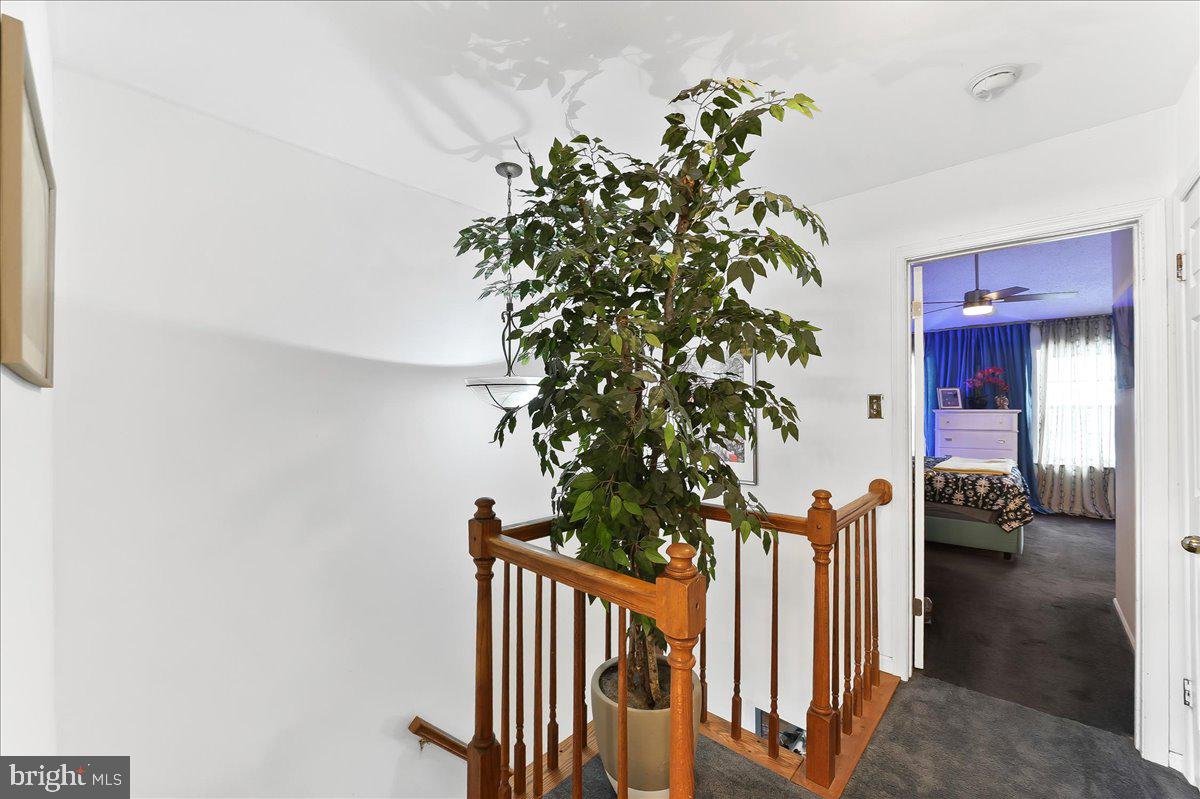 DARLINGTON WOODS - Residential