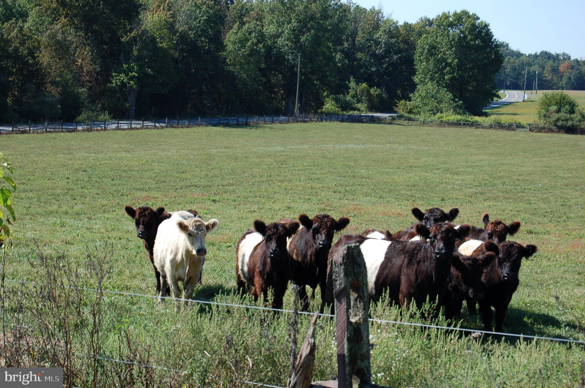 NONE AVAILABLE - Farm