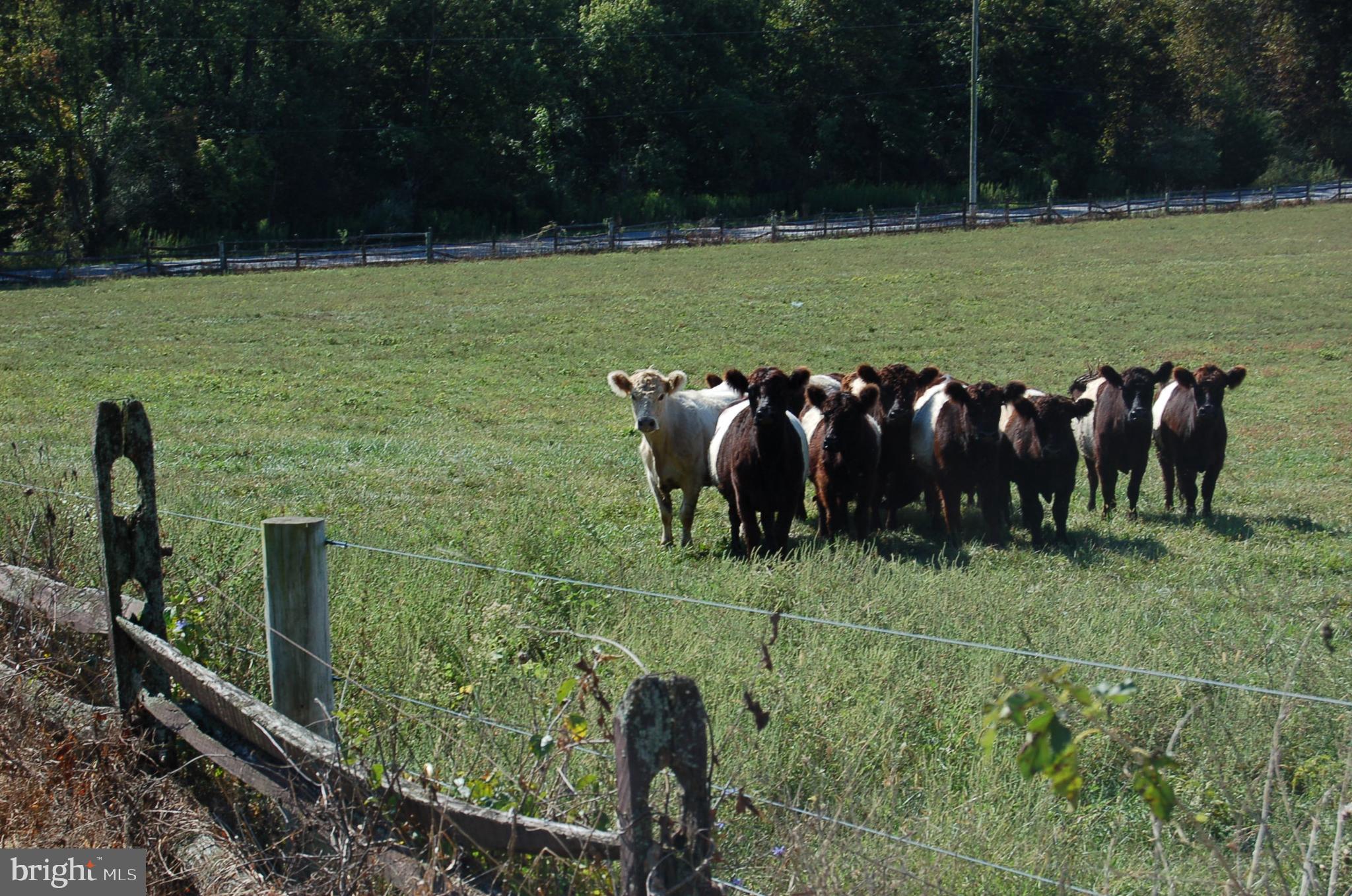 NONE AVAILABLE - Farm