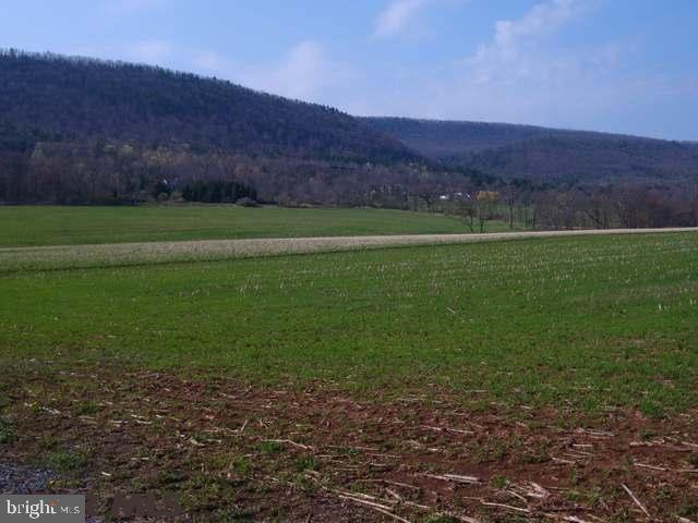 Perfect location for a farm or single family residence property currently being farmed. Misty Hill lots were subdivided into 10 acre parcels and most sold prior to being subdivided perfect opportunity for an investor to sub divide the property. Agent is daughter-in-law and wife of partners.Property is minutes to Campus and all amenities plus Boalsburg is just around the corner.Seller to subdivide 11 acres out of the original 94.7