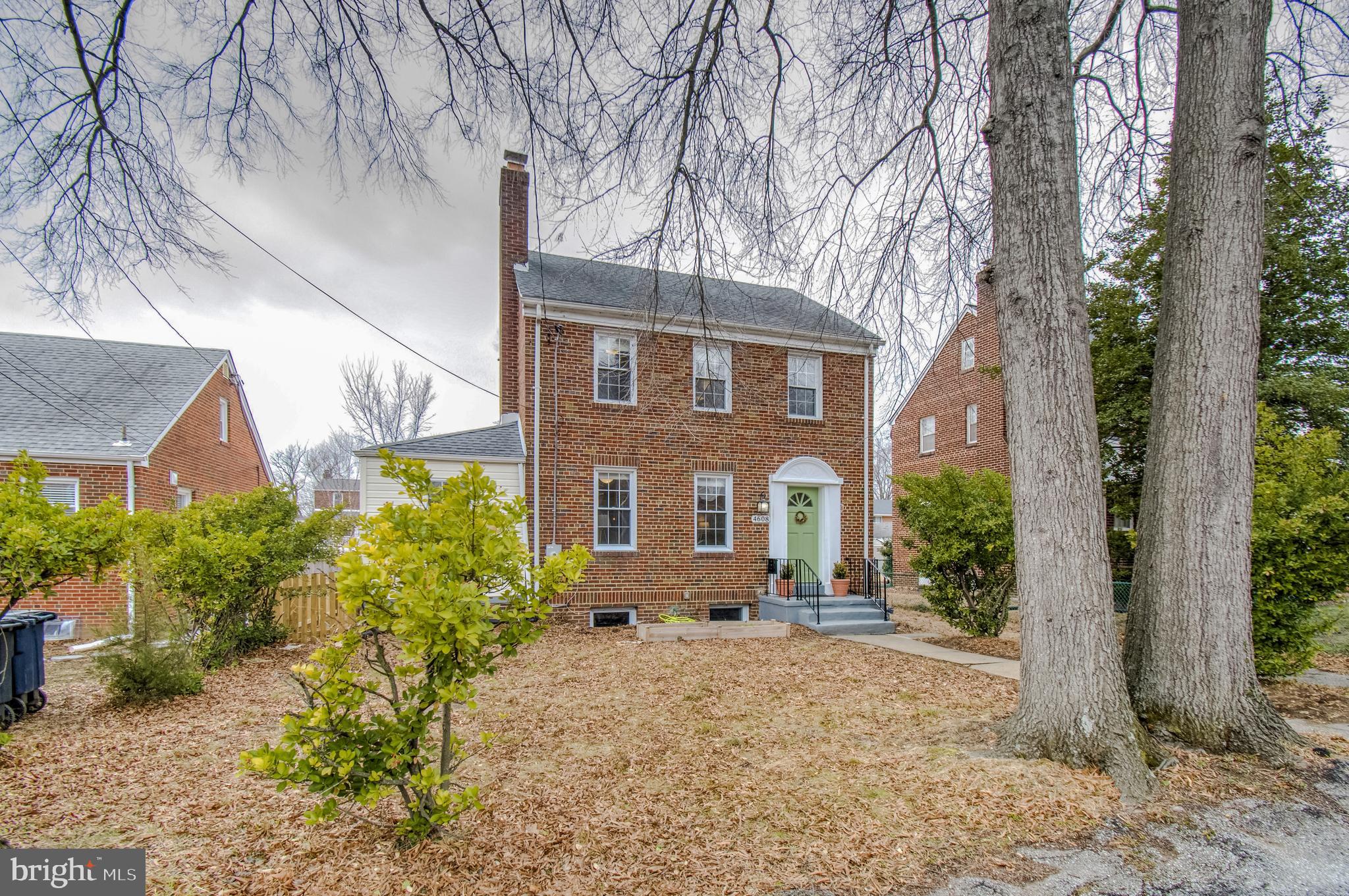 MOUNT RAINIER - Residential