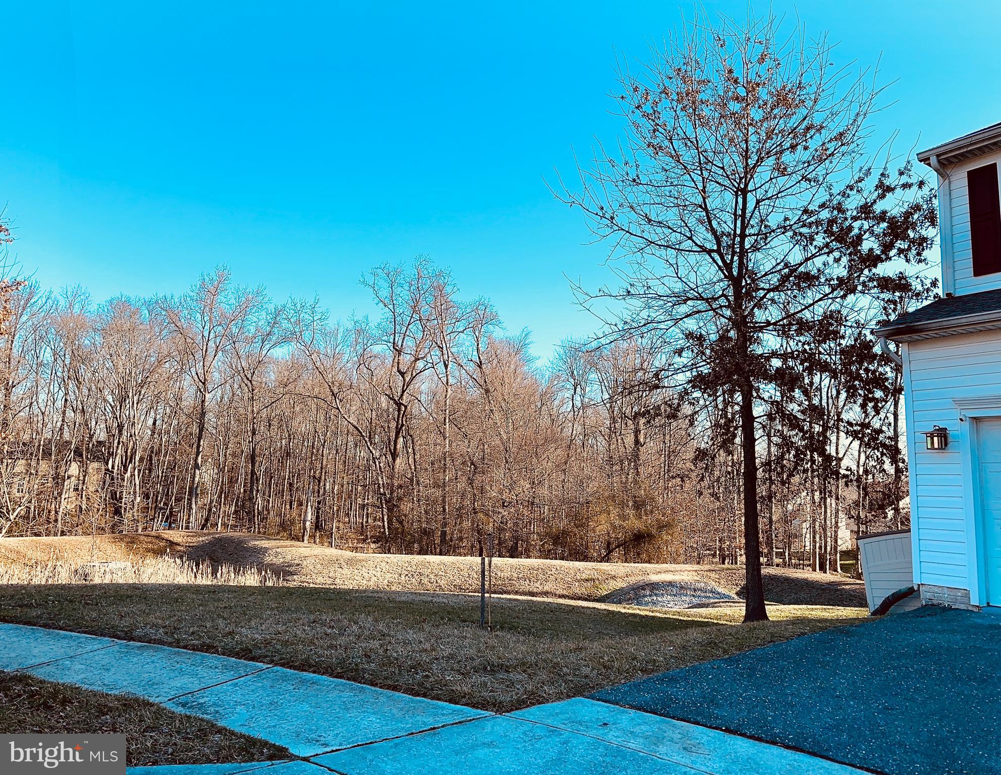 KINGS ARMS - Residential Lease