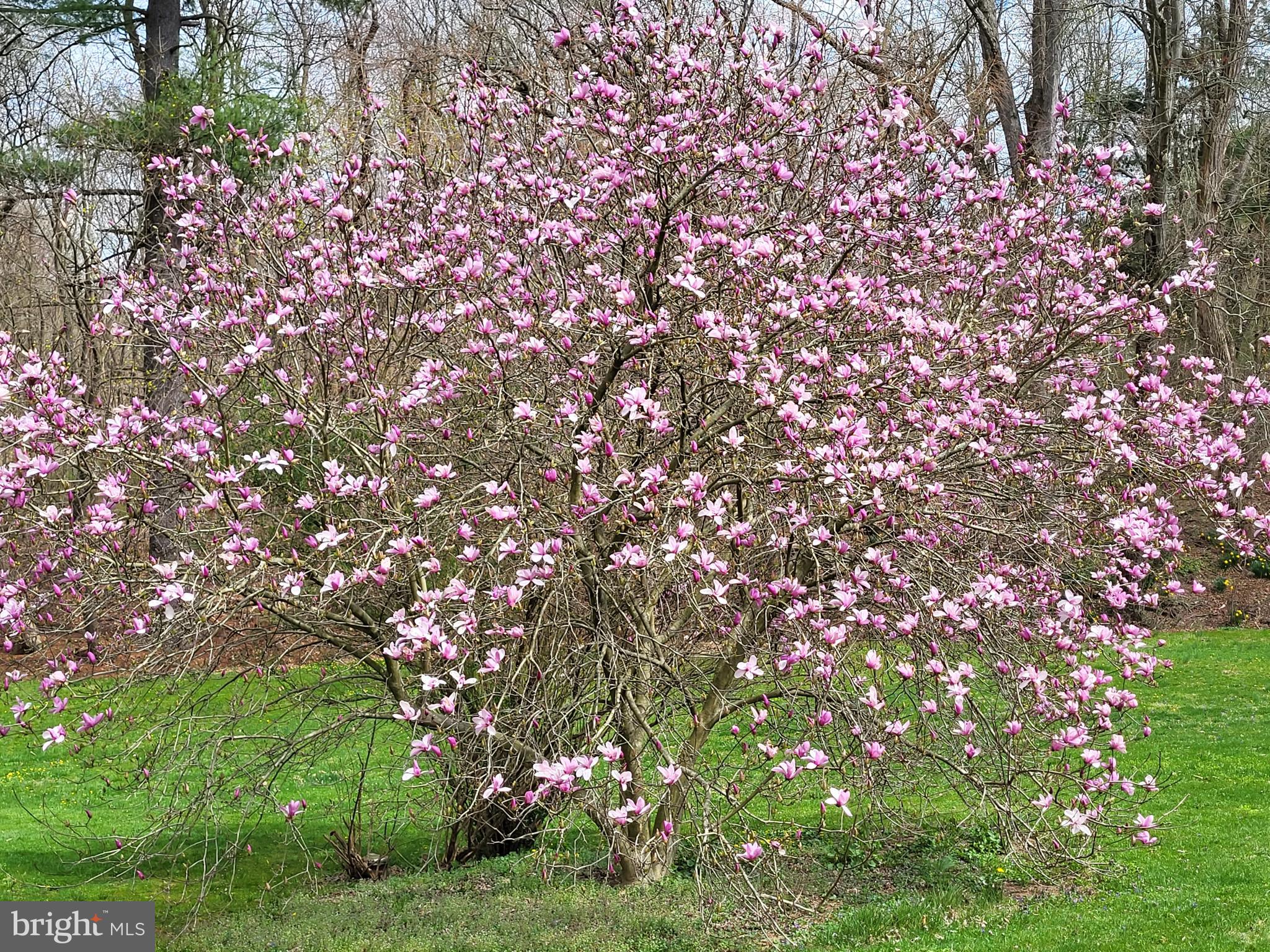 HAMPSTEAD - Residential