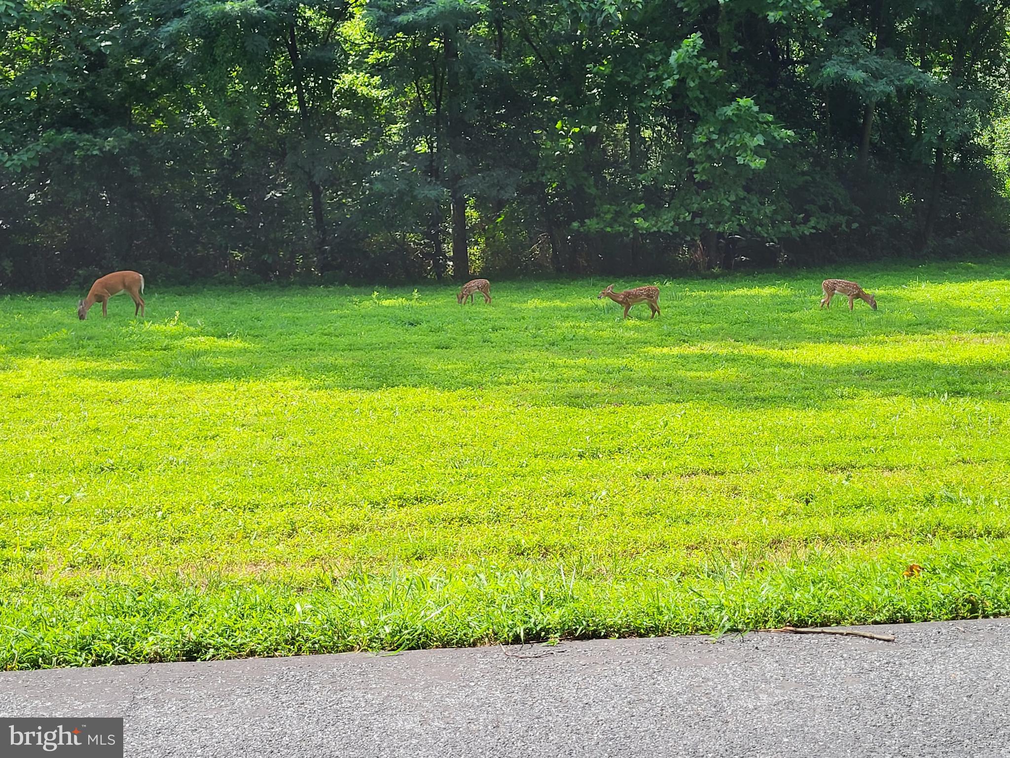 HAMPSTEAD - Residential