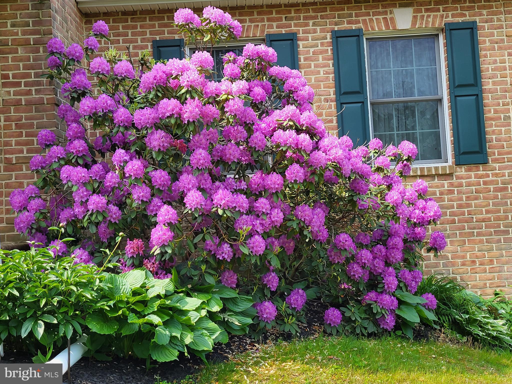 HAMPSTEAD - Residential