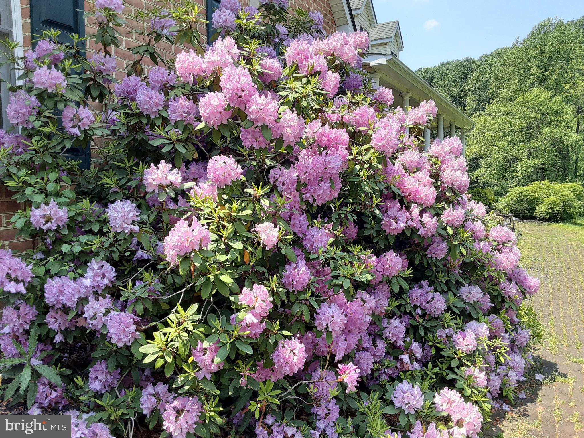 HAMPSTEAD - Residential