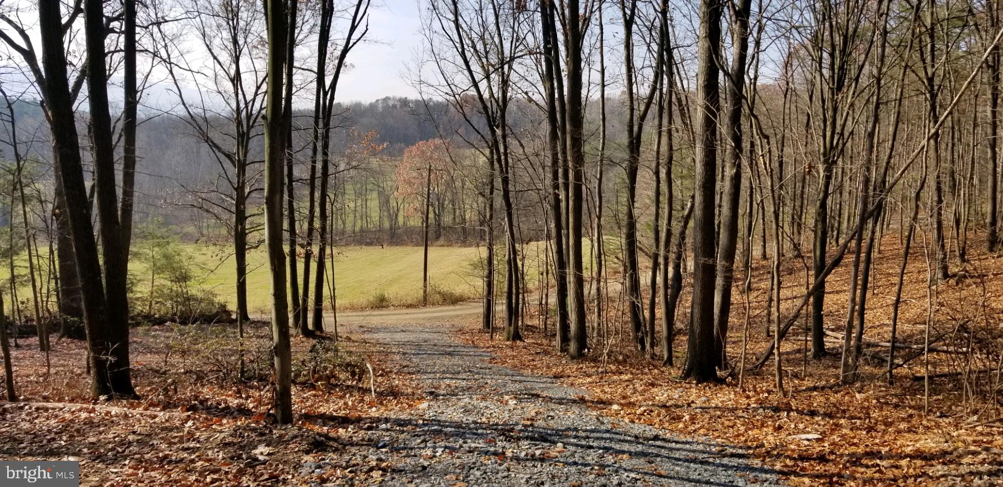 Private, wooded 2 acre building lot. Clear a few trees and have a wonderful view or leave the trees standing for ultimate seclusion. Ideal for permanent dwelling or cabin. Perk and probe test completed.