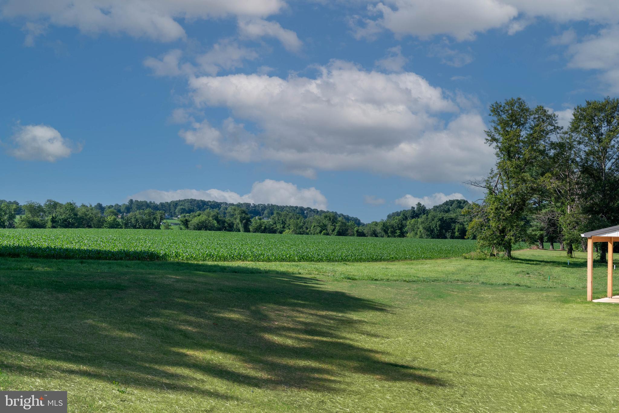 3319 MOUNT CARMEL ROAD