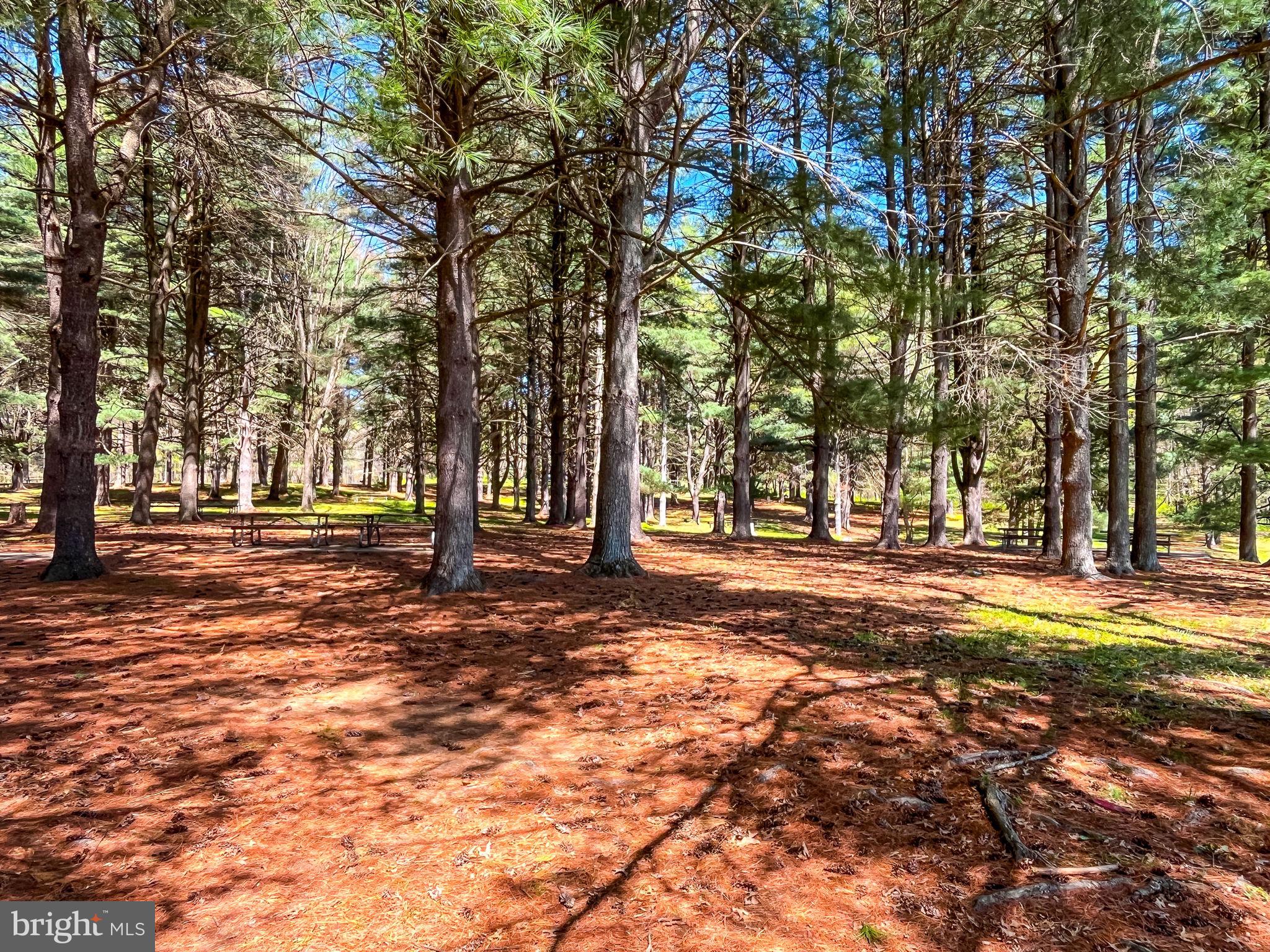 GUNNERS LAKE VILLAGE - Residential