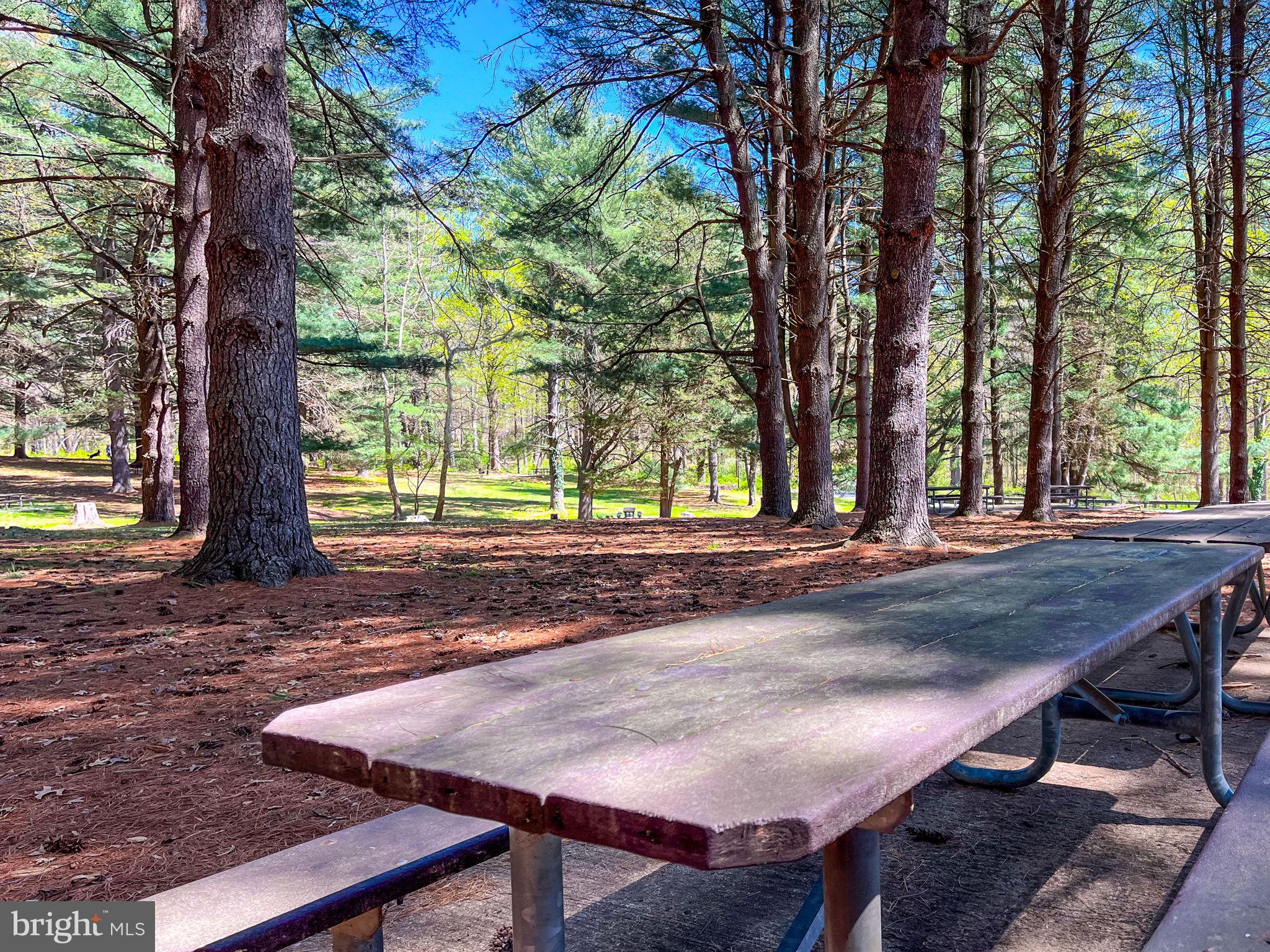 GUNNERS LAKE VILLAGE - Residential